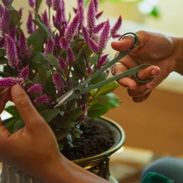 Plant Care prostřihávací nůžky s pouzdrem Fiskars 1075315