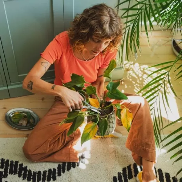 Plant Care prostřihávací nůžky s pouzdrem Fiskars 1075316