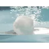 Filtrační kuličky Marimex Balls 450 10690001