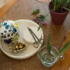 Plant Care prostřihávací nůžky s pouzdrem Fiskars 1075315