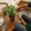 Plant Care prostřihávací nůžky s pouzdrem Fiskars 1075315