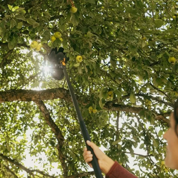 Česáčik na ovocie Oneclick Fiskars 1080692