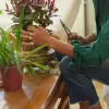 Plant Care prostřihávací nůžky s pouzdrem Fiskars 1075315