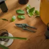 Plant Care zahradní nůžky s pouzdrem Fiskars 1075314