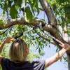 Nůžky na silné větve PowerGear, dvoučepelové LX94 Fiskars 112390