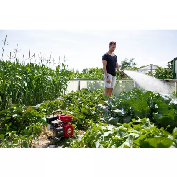 Benzínové čerpadlo BMP 14001 AL-KO 113793