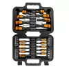 Sada šroubováků a bitů v plastovém boxu 58 dílů RICHMANN