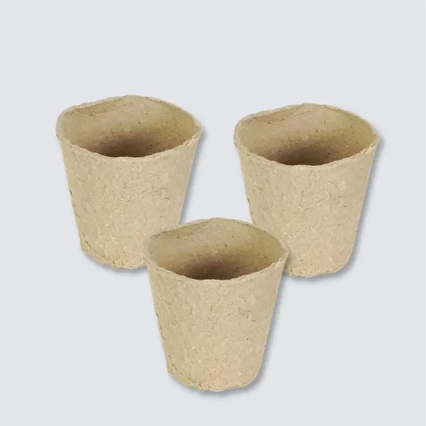 Set ORTOBIMBO 3095 VERDEMAX 21V003095