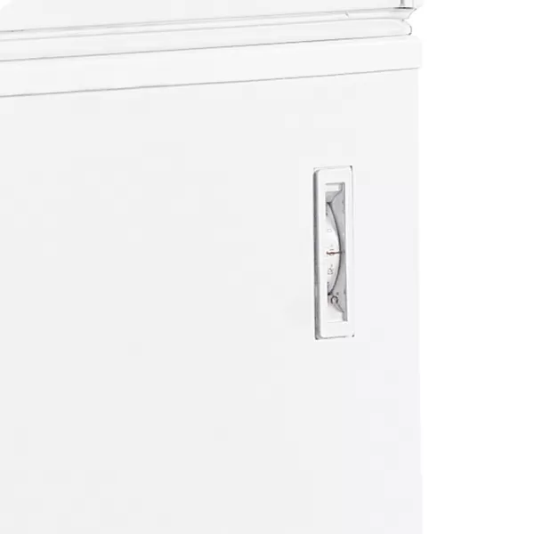 Mraznička na zmrzlinu plné víko Tefcold FR 405 SL