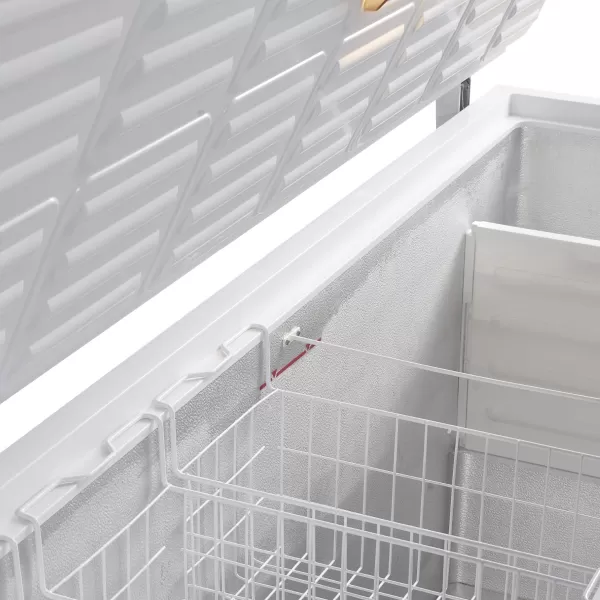 Mraznička na zmrzlinu plné víko Tefcold FR 505 SL