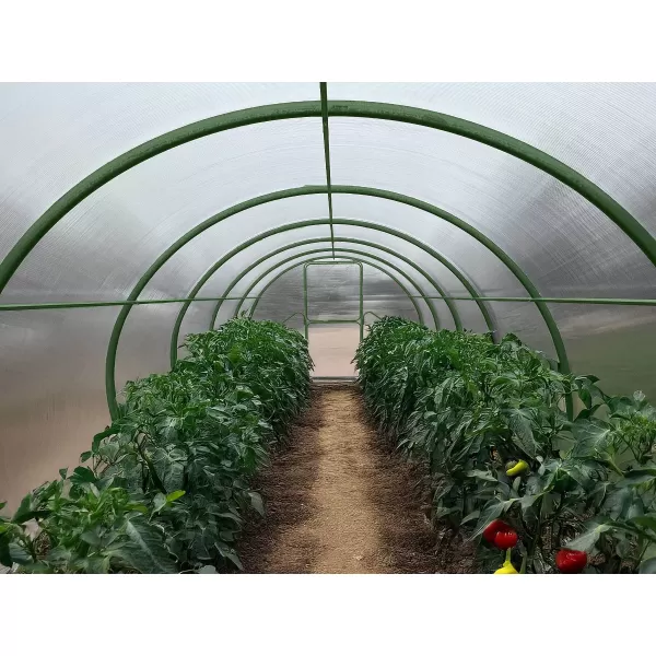 Skleník LANITPLAST DODO 300 3x4 m PC 8 mm zelený LG4354