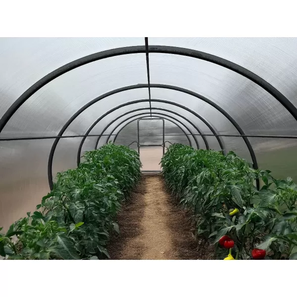 Skleník LANITPLAST DODO 300 3x4 m PC 8 mm černý LG4357