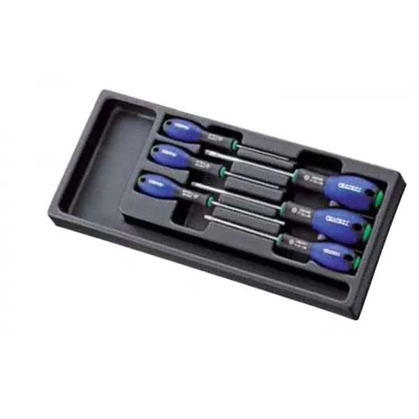6dílná sada šroubováků v modulu Tona Expert E194941T