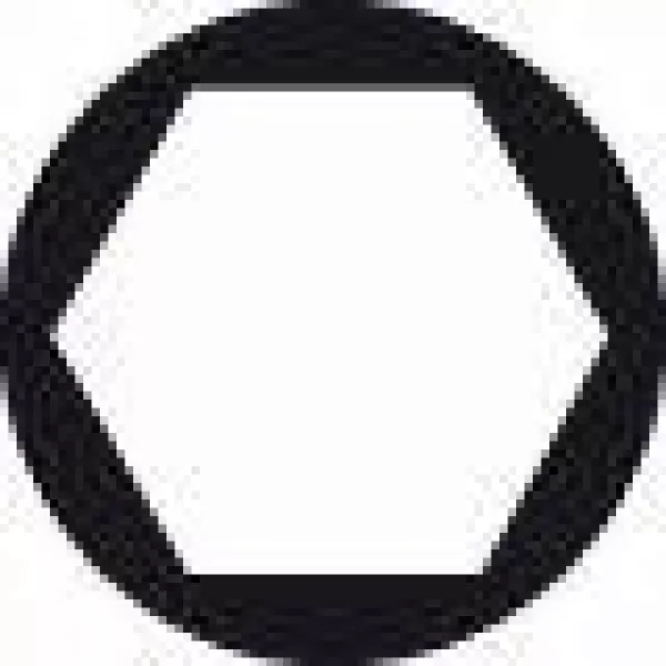 Šroubovací bit zvlášť tvrdý Extra-Hart HEX 6, 49 mm Bosch 2607001735