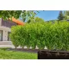 Micro-Drip-zavlažování keřů/živých plotů (50 m) Gardena 13501-20
