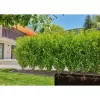 MDS Startovní Set pro živé ploty/keře 25 m Gardena 13500-20