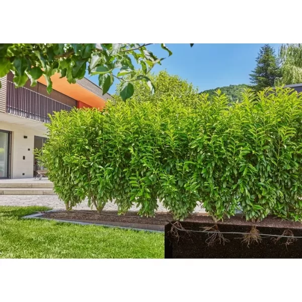 MDS Startovní Set pro živé ploty/keře 25 m Gardena 13500-20