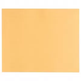 Brusný papír EXPERT C470 pro ruční broušení 230 × 280 mm, G 400 Bosch 2608900967