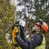 Aku bezuhlíkový plotostřih 18V bez aku DeWALT DCMHT563N