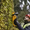 Aku bezuhlíkový plotostřih 18V bez aku DeWALT DCMHT563N