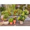 Micro-Drip-zavlažování - sada na terasu (30 rostlin) Gardena 13400-20