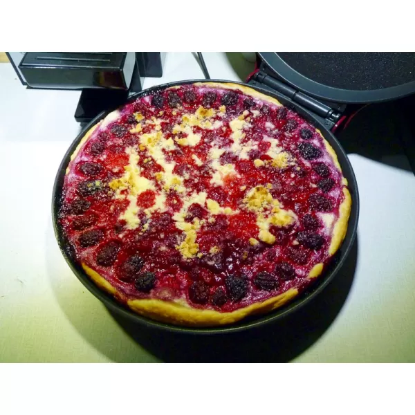 Domácí elektrická pec na pizzu My Express DOMO DO9177PZ