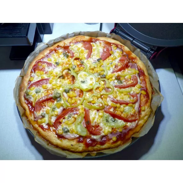 Domácí elektrická pec na pizzu My Express DOMO DO9177PZ