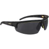 Ochranné brýle tmavé polarizační DeWALT DPG109-2PD
