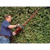 Elektrické nůžky na živý plot GC-EH 6055/1 Einhell 3403320