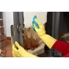 Čistič krbových skel 500ml Caramba HSF17-222