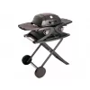 Přenosný plynový gril 4,2 kW se dvěma hořáky a pojízdným skládacím stolkem Riwall PRO RGG 20 Compact SET