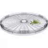 Sušička ovoce SENCOR SFD 2105WH