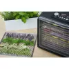 Sušička ovoce SENCOR SFD 6600BK