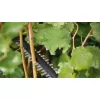 Aku nůžky na živé ploty Bosch UniversalHedgeCut 18V-55 0 600 849 J01