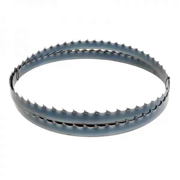 Pílový pás 3652x32x0,9 mm, TPI 1 Holzmann BSB550SMARTB32