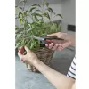 Nůžky FreshCut s jmenovkami k bylinkám Gardena 12212-36