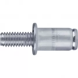 Šrouby nýtovací ocelové 25ks M6x12 mm FORTUM 4770676