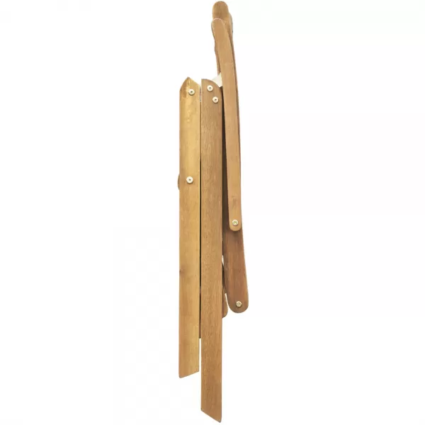 Sada 2 skládacích polohovatelných židlí FIELDMANN FDZN 4001-T