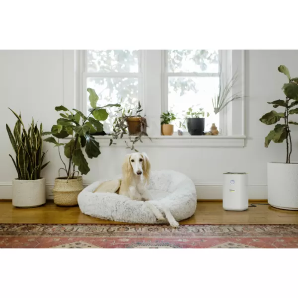 Čistička vzduchu AF 20 Kärcher 1.024-820.0