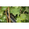 Aku nůžky na živé ploty Bosch UniversalHedgeCut 18V-55 0 600 849 J00