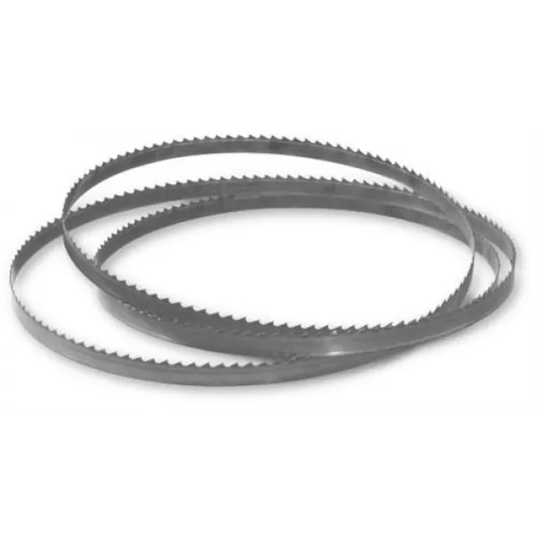 Pilový pás DieBandPlus 13x0,65 8/12 x 1638 99900090-1638