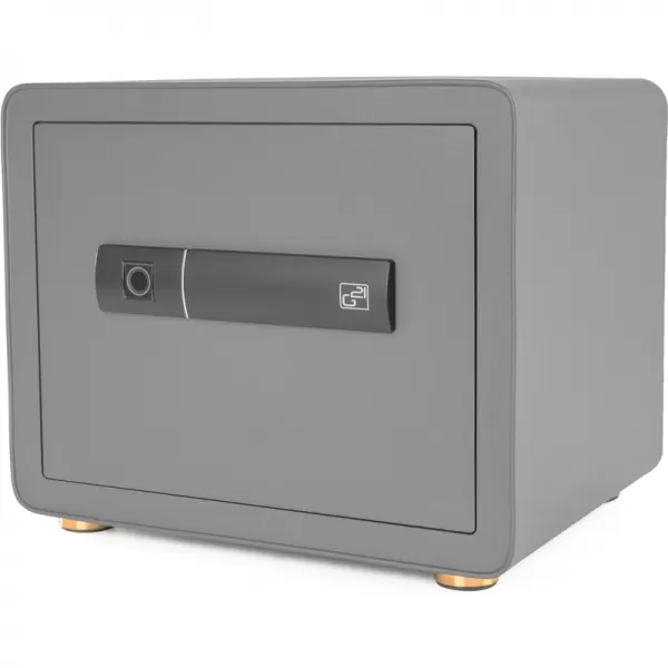 Trezor G21 na odtlačok prsta 380 x 310 x 300 mm 63922103