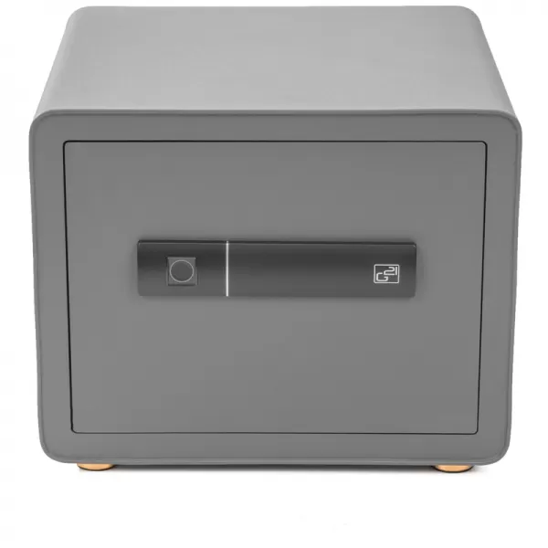 Trezor G21 na odtlačok prsta 380 x 310 x 300 mm 63922103