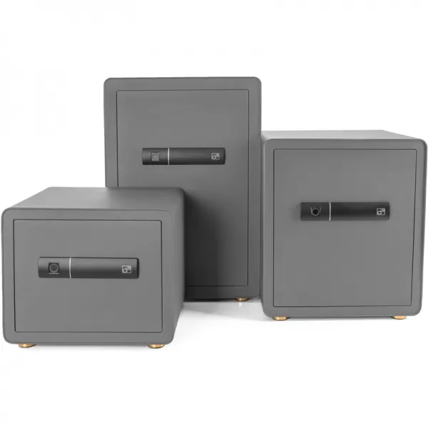 Trezor G21 na odtlačok prsta 380 x 310 x 300 mm 63922103
