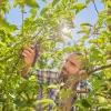 Zahradní nůžky PremiumCut Pro Flex na zelené dřevo Gardena 12252-20